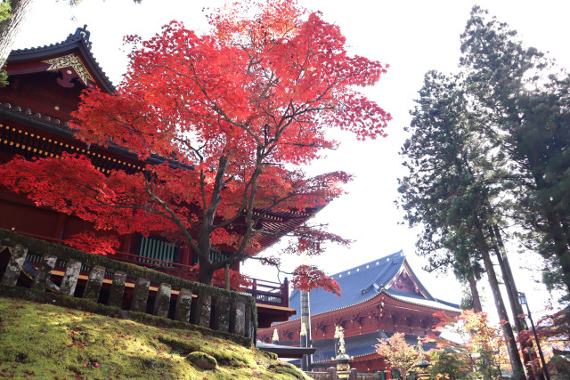 【日光】世界遺産 日光の社寺